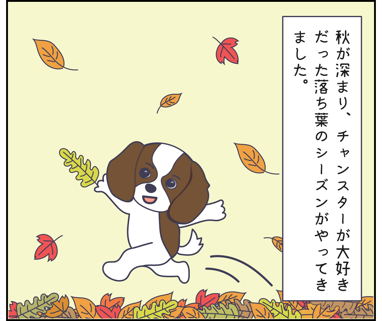 秋　落ち葉　キャバリア　犬